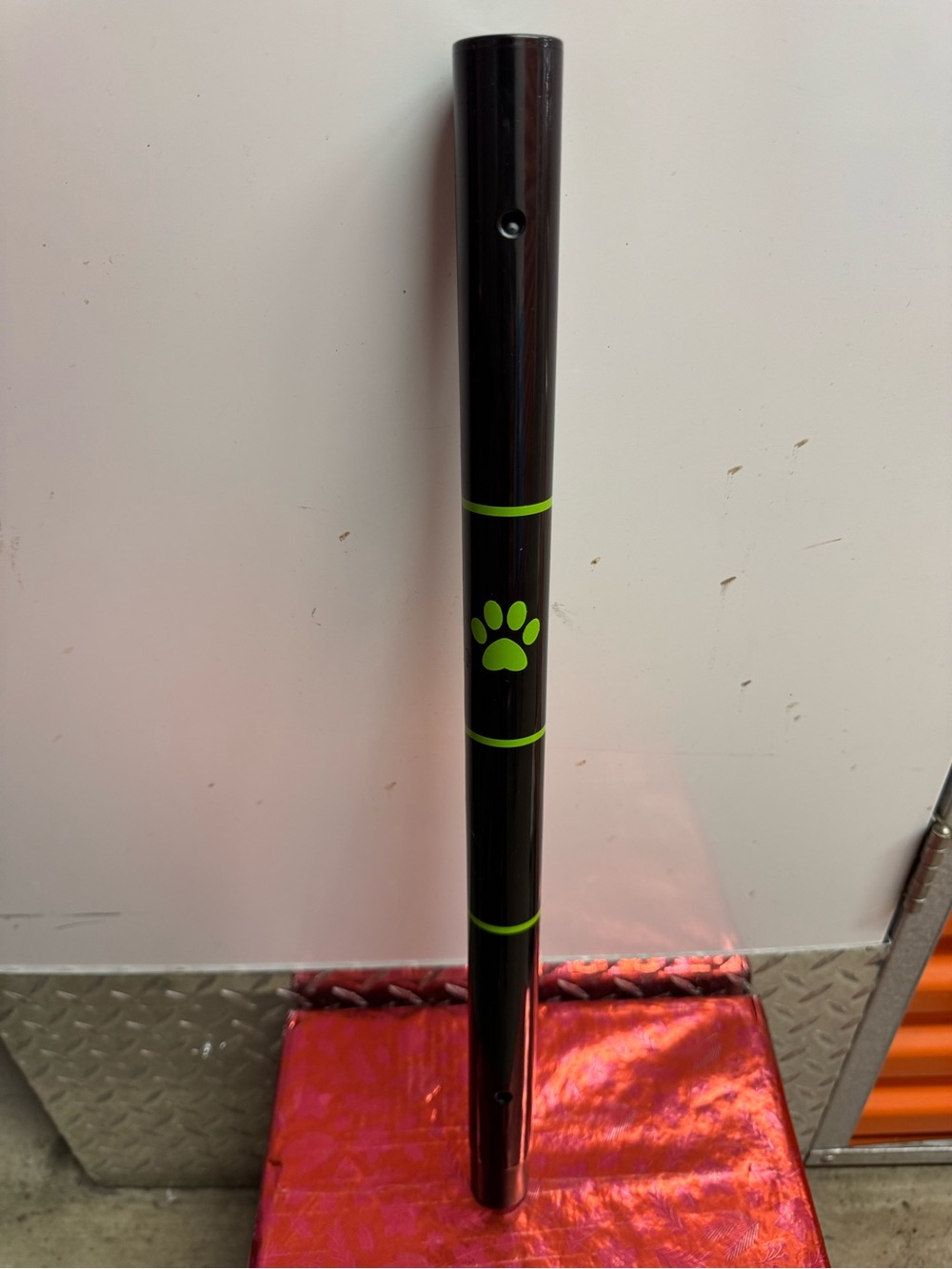 Cat Noir Staff